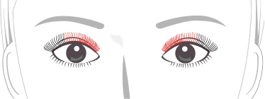 ●目と目の間隔が離れている　目頭～中央にポイントを置く
